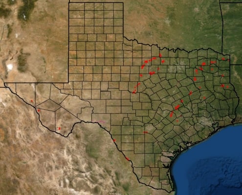 texas county maps