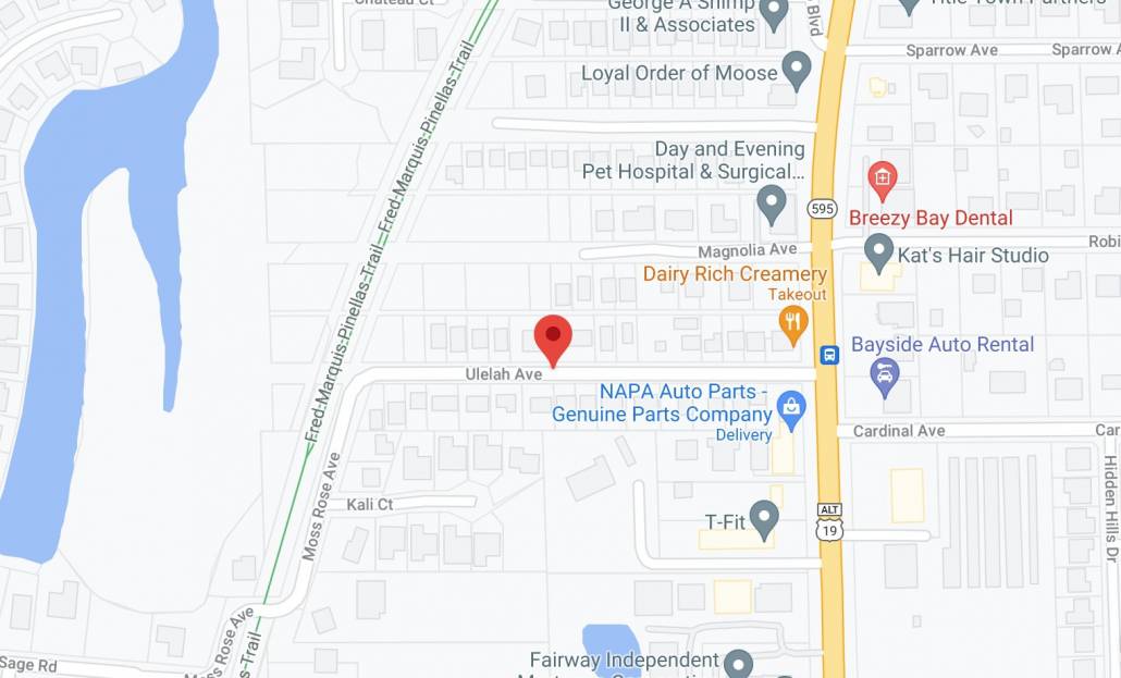 Palm Harbor Sinkhole