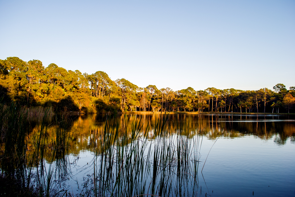 Is Seminole, Florida a Good Place To Live?