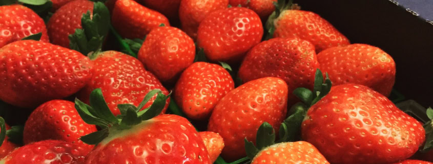Plant,City,Strawberries
